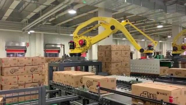 码垛案例-韩国食品企业整排码垛项目