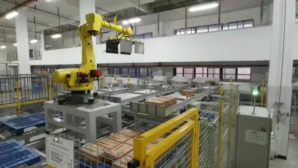 码垛案例-风味食品生产企业纸箱码垛项目