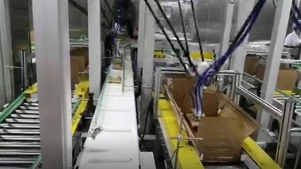 二次包装-食品快餐企业二次包装项目