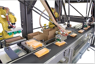 机器人装箱系统（Robot Packing System）