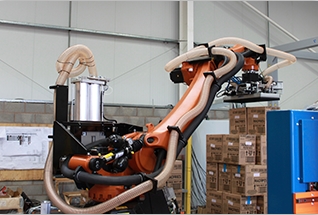 智能出入库拆垛系统（Smart De-Palletising System）